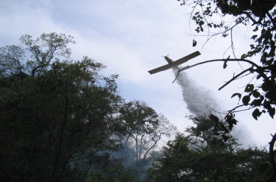 Experiência mineira no combate aéreo a incêndios florestais é apresentada
